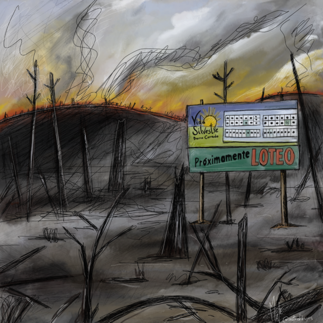 Foto: Matías Tejeda, @matedibujos
