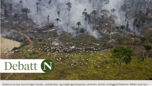 Foto: Daniel Beltra, Greenpeace / Repórter Brasil