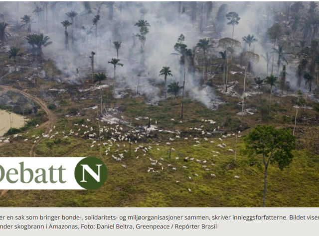 Foto: Daniel Beltra, Greenpeace / Repórter Brasil