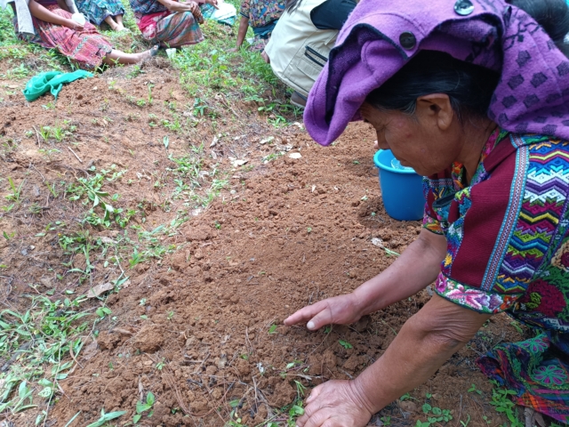 Foto: Rosa Ixchel/ Conavigua